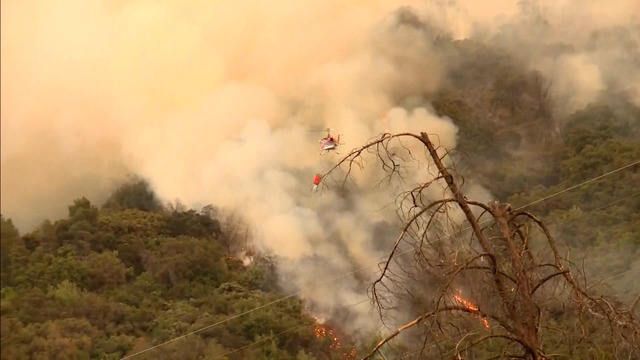 incendio california vicino yosemite national park