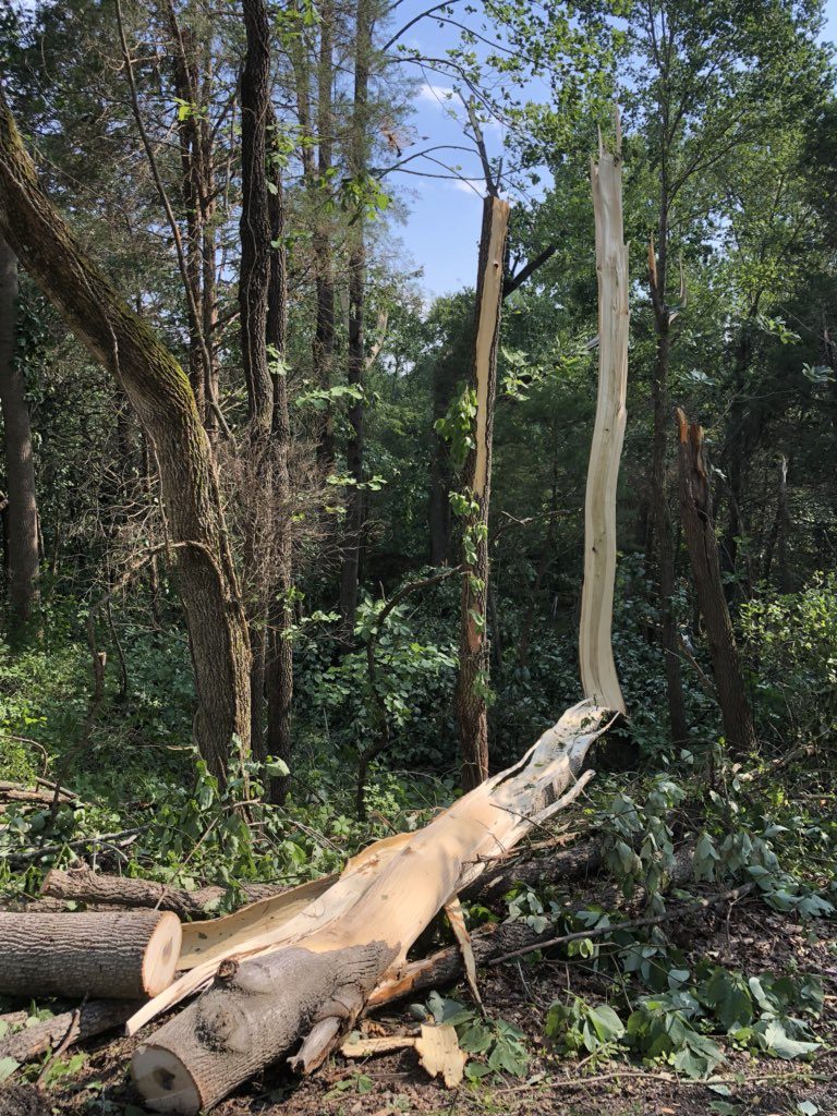 maltempo USA tornado