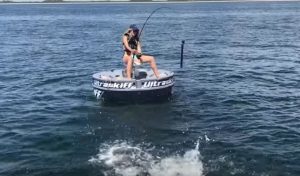 squalo pesca