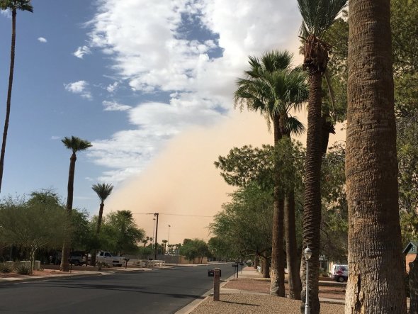 tempesta di sabbia arizona