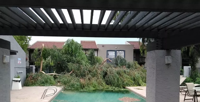 tempeste di sabbia arizona