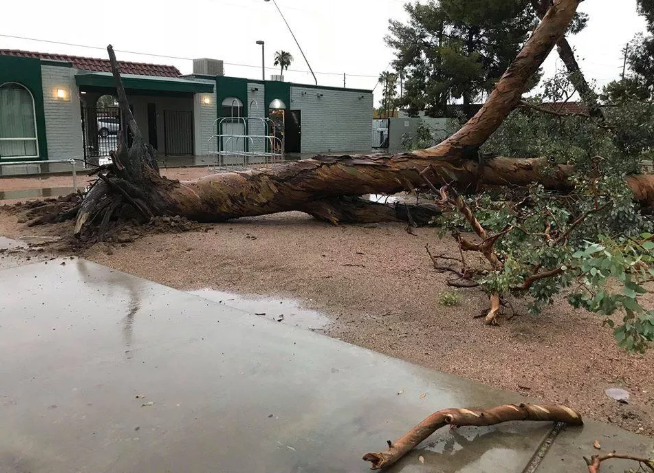 tempeste di sabbia arizona