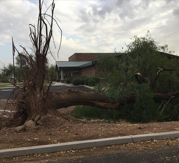 tempeste di sabbia arizona