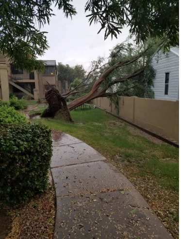 tempeste di sabbia arizona