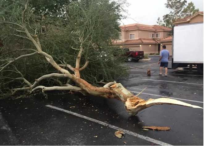 tempeste di sabbia arizona