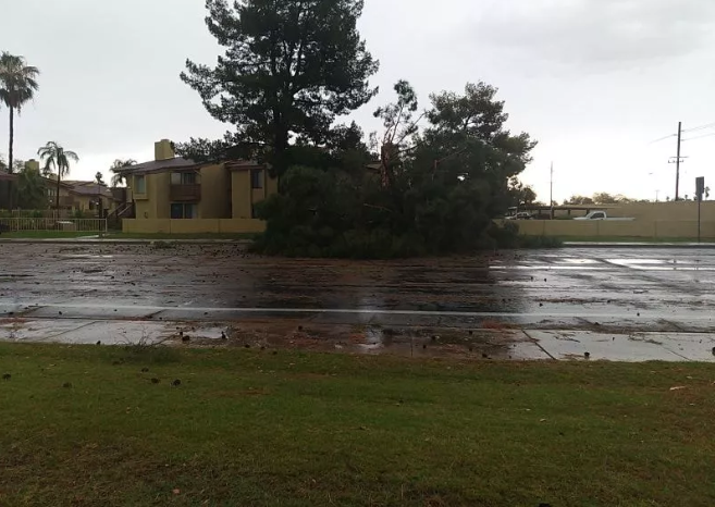 tempeste di sabbia arizona