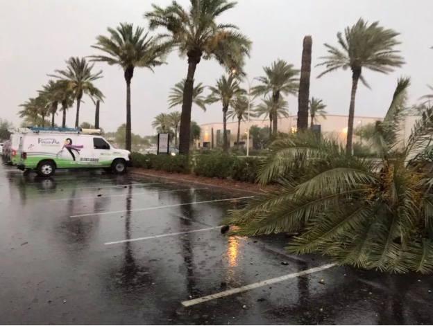 tempeste di sabbia arizona