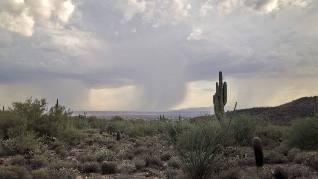 tempeste di sabbia arizona