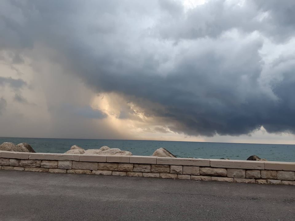 Bari