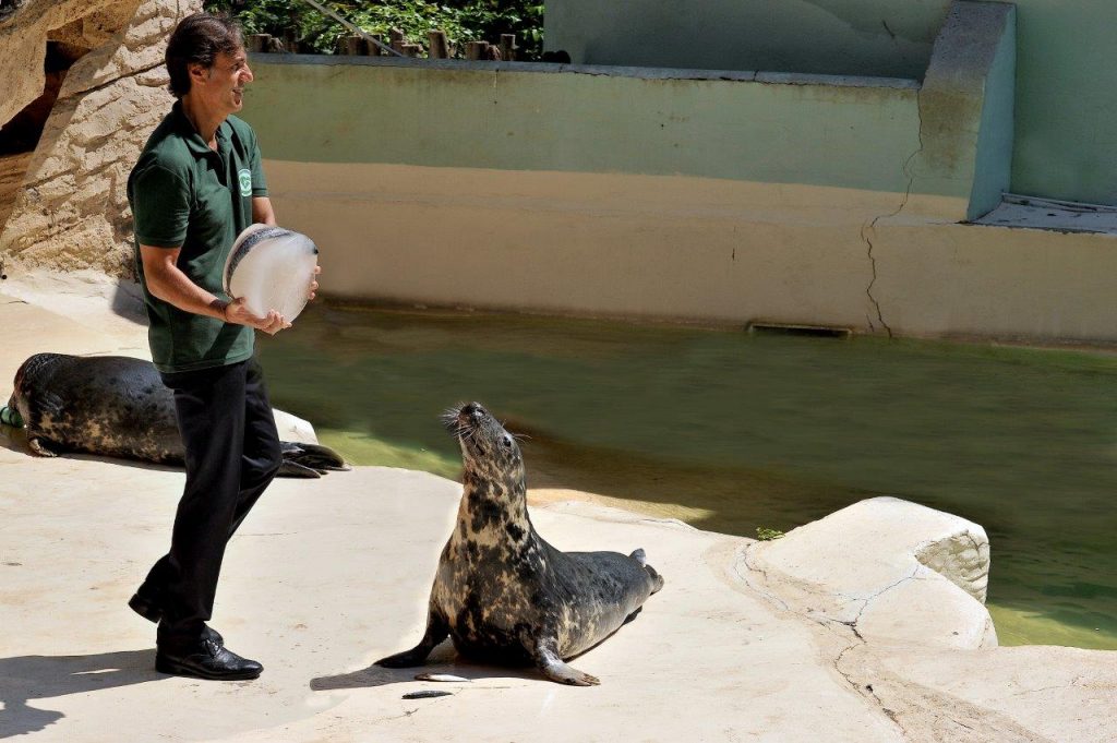 animali Bioparco Roma