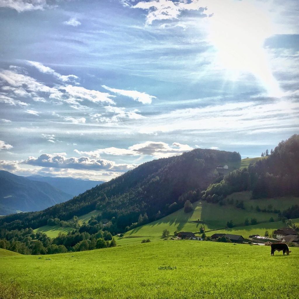 brunico