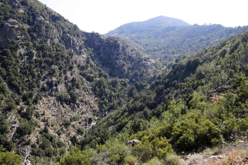 Corsica onda anomala