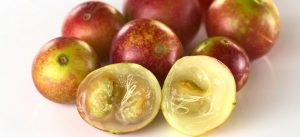 frutto camu camu obesità