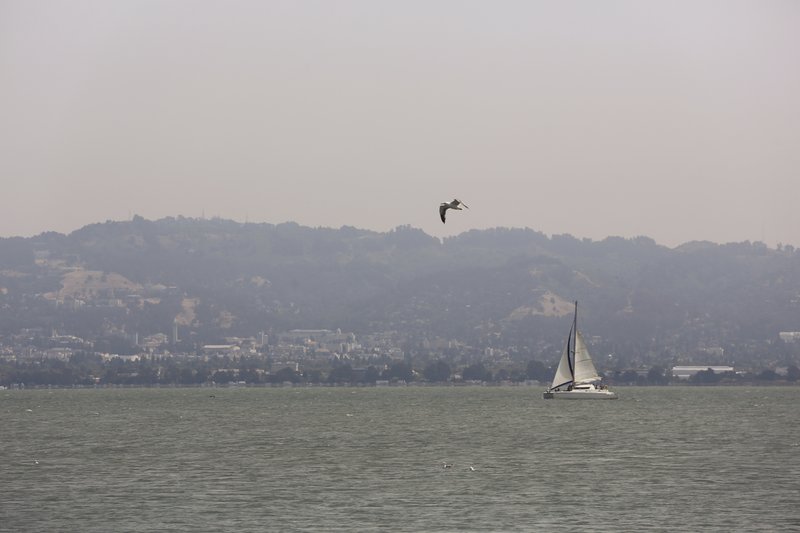 fumo incendi california