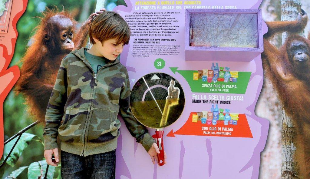 giornata oranghi bioparco roma