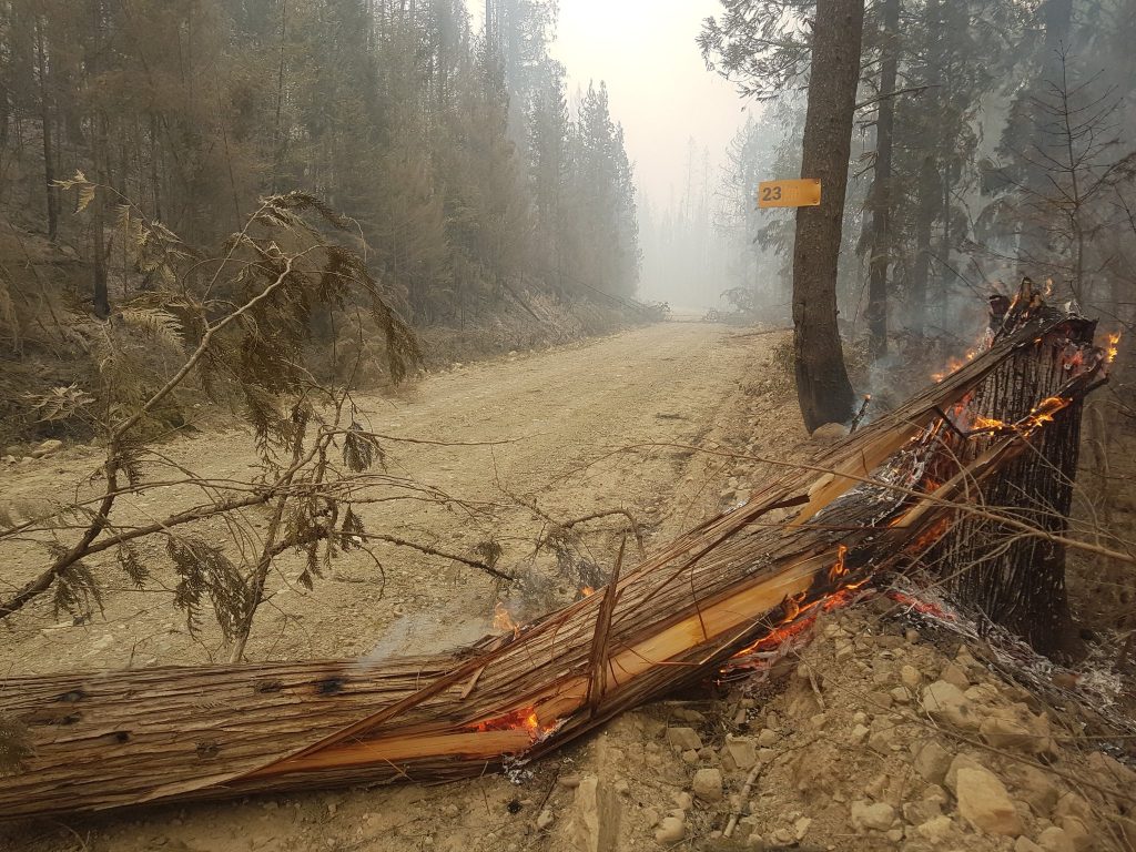 incendi British Columbia, Canada