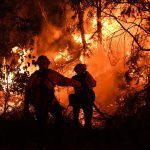 Incendi in California: le fiamme continuano ad avanzare [GALLERY]