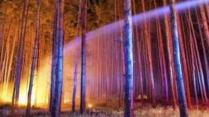 incendio Treuenbrietzen, Germania (1)