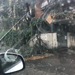 Maltempo, nubifragio e grandine a Roma: allagamenti e alberi caduti, disagi alla circolazione [DETTAGLI]