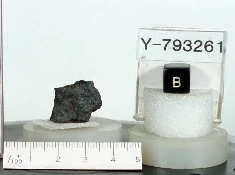 meteorite primitivo Y-793261