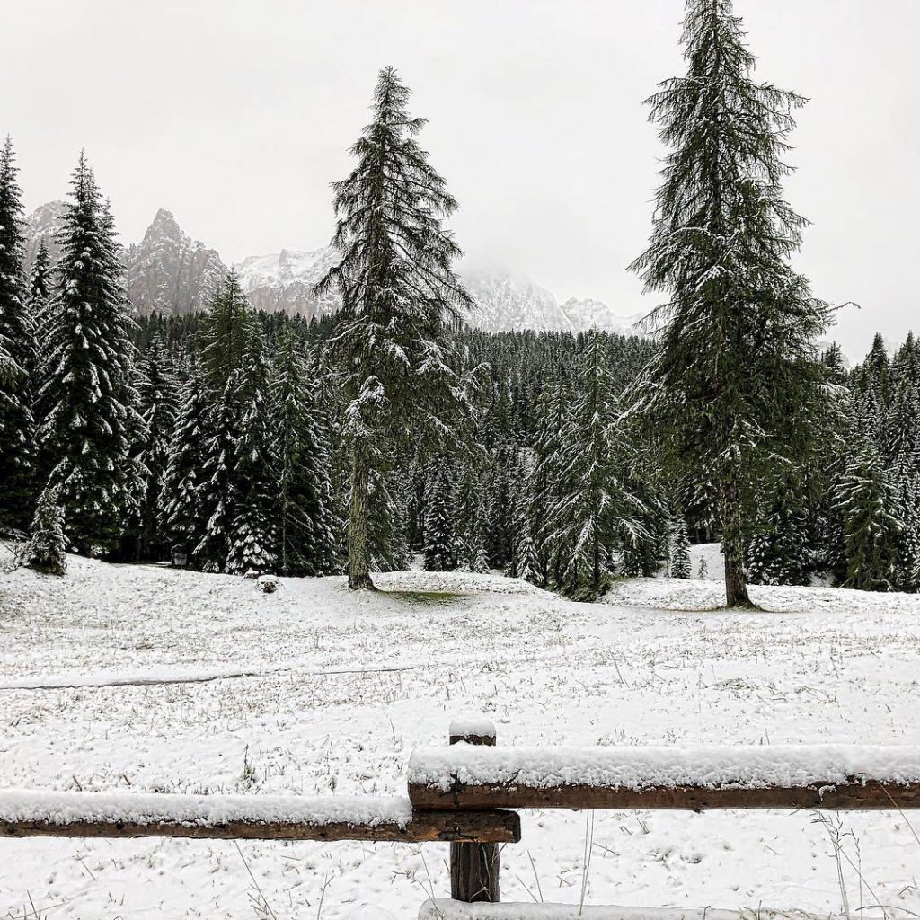 neve Cortina