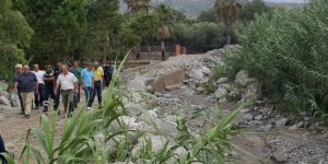 nicotera