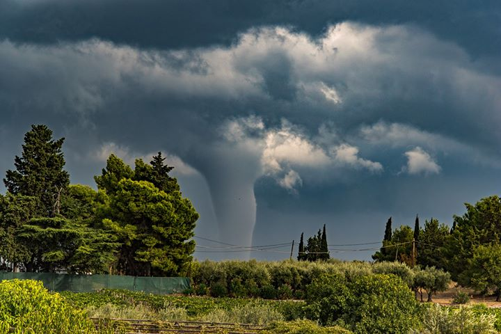 tromba marina croazia
