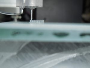 Organoide di tessuto cardiaco in stampa