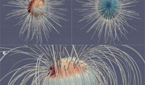 La magnetosfera di Giove