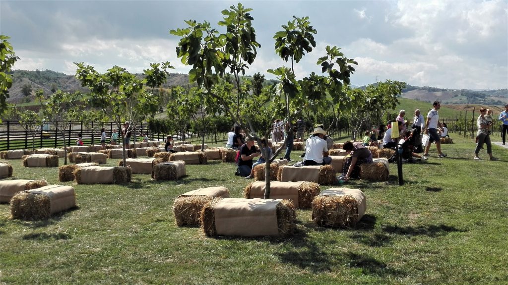 Rural Festival