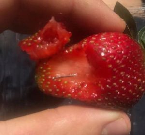 aghi fragole supermercato