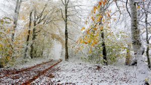 autunno neve