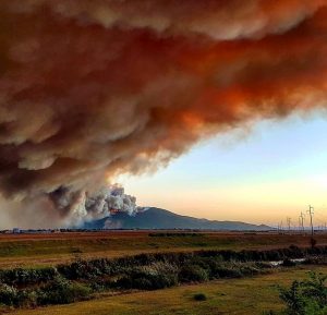 incendio monte serra