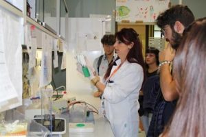 neuromed notte ricercatori 2018