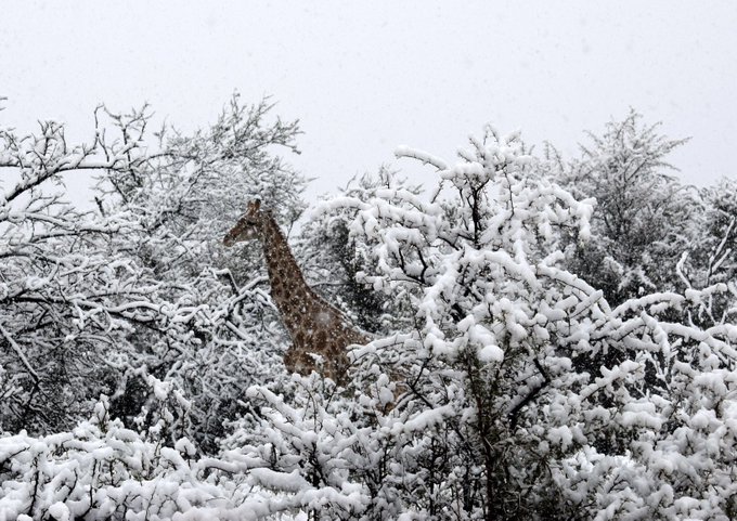 neve sudafrica 8 settembre