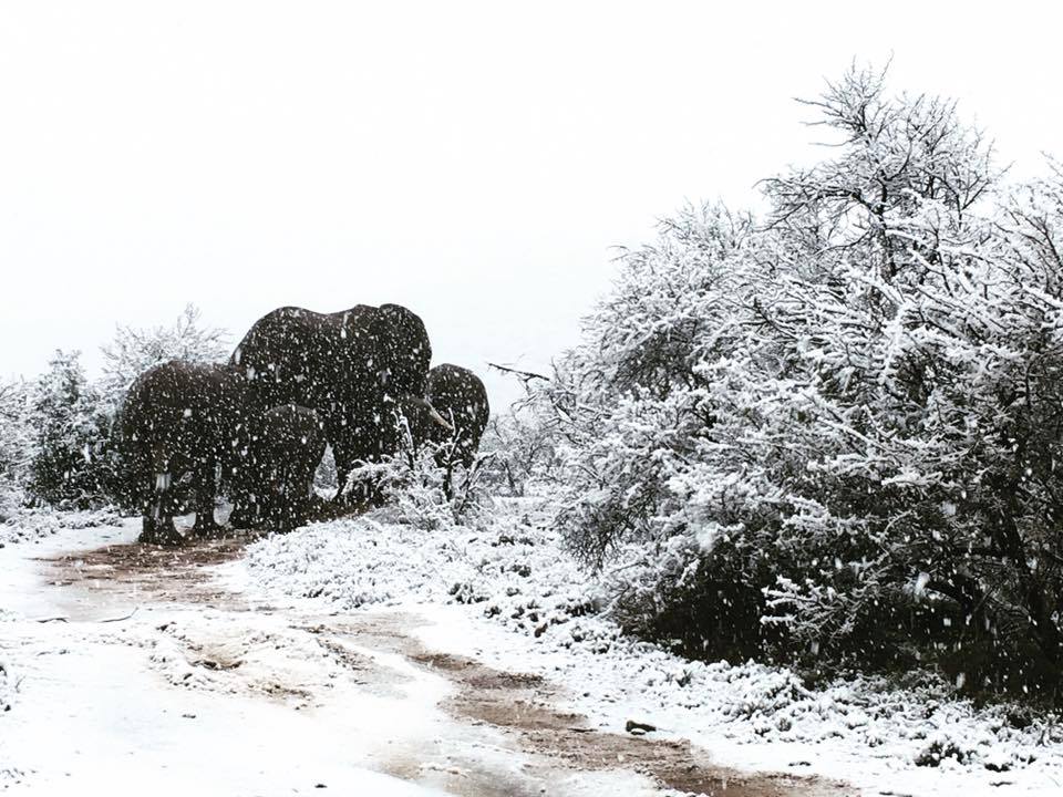 neve sudafrica 8 settembre