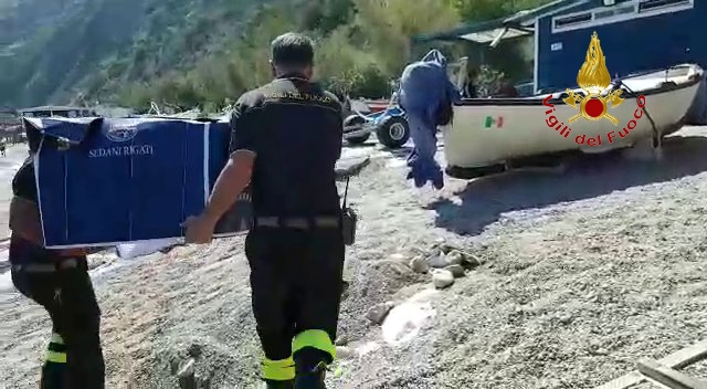 salvataggio grifone