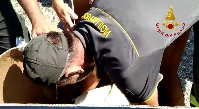 salvataggio grifone