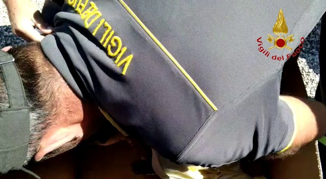 salvataggio grifone