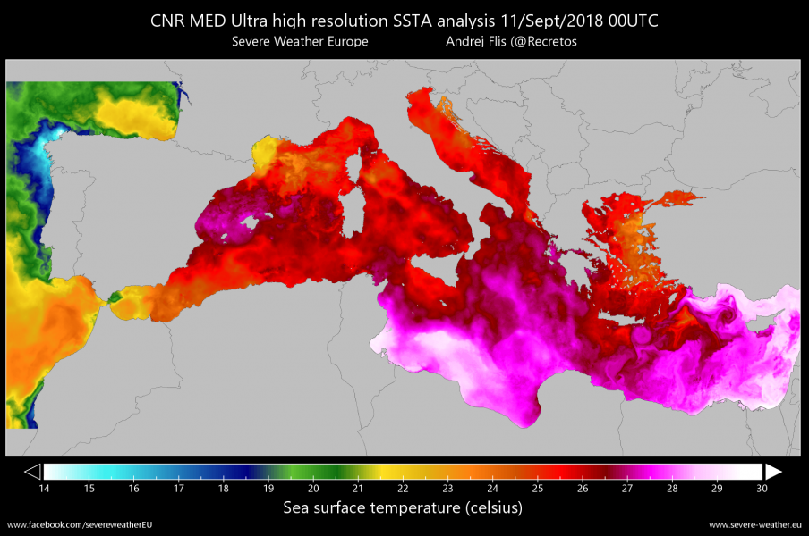 temperature superficiali mediterraneo