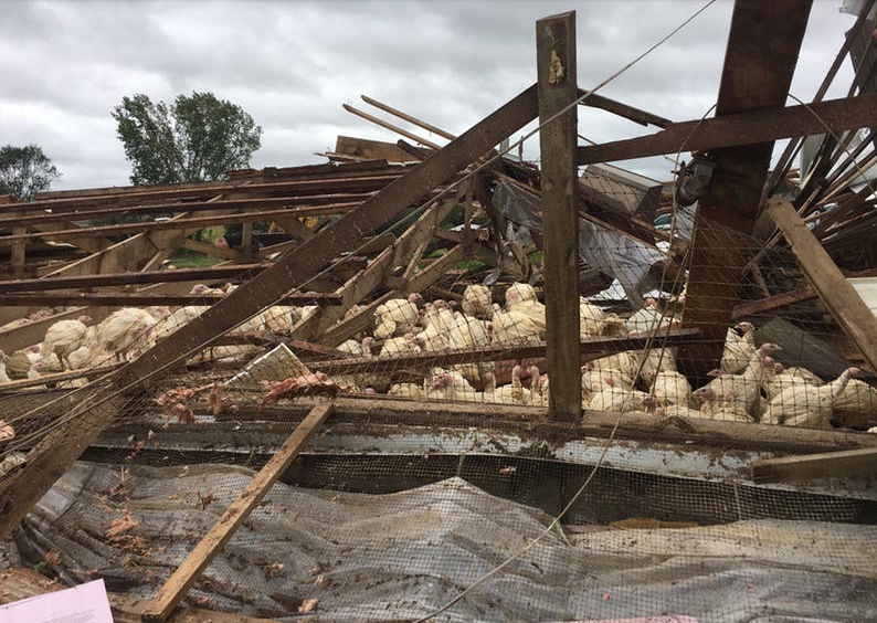 tornado minnesota