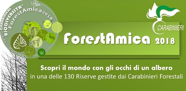 ForestAmica 2018