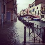 Maltempo, acqua alta record a Venezia: raggiunta marea di 156cm, evacuata piazza San Marco [FOTO e VIDEO LIVE]