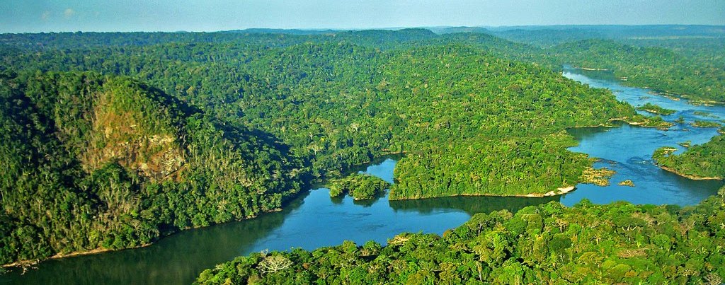 foresta amazzonica brasile