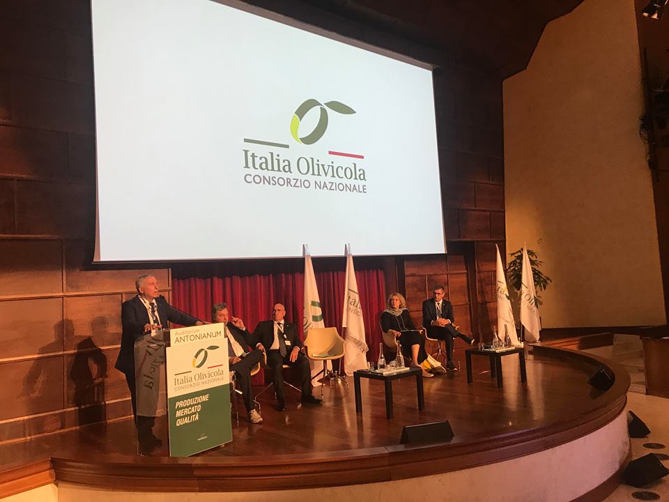 italia olivicola