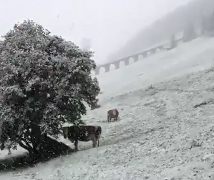 neve alpi 1 ottobre