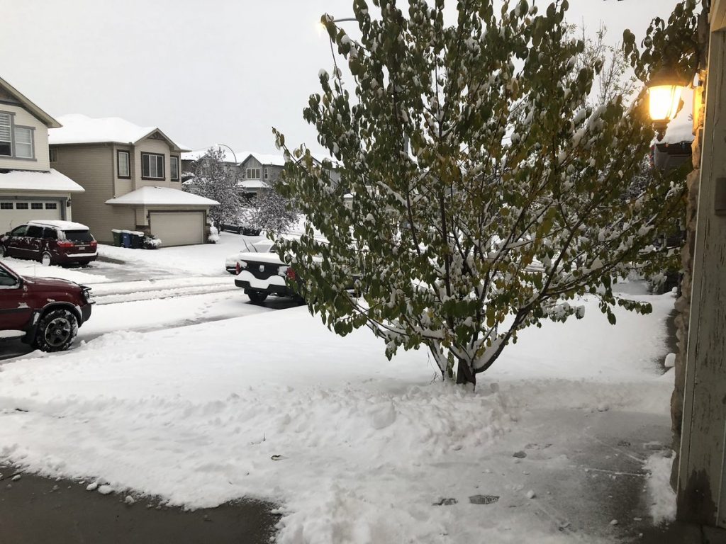 neve calgary canada