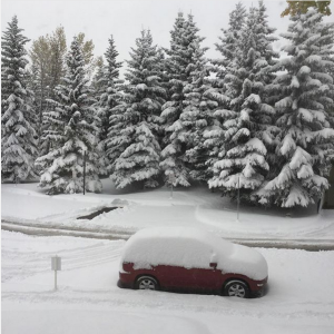 neve calgary canada