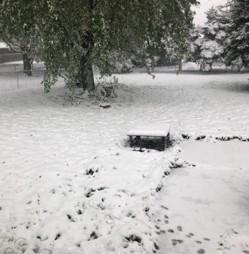 tempesta neve usa