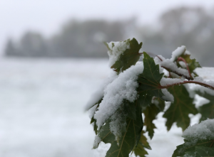 tempesta neve usa